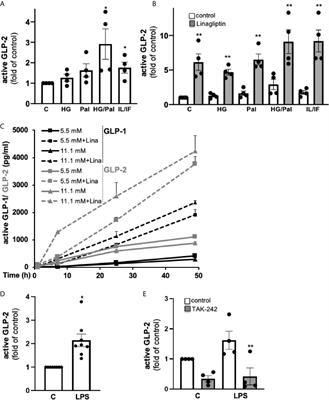 GLP-2 Is Locally Produced From Human Islets and Balances Inflammation Through an Inter-Islet-Immune Cell Crosstalk